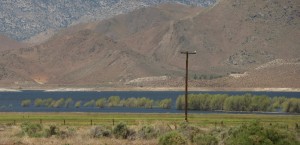 Trees poking up above lake isabella easter weekend Kern River Valley